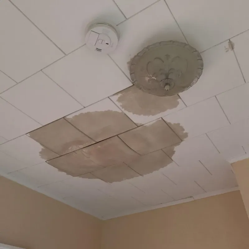 Ceiling Water Damage Repair in Oak Hill, OH
