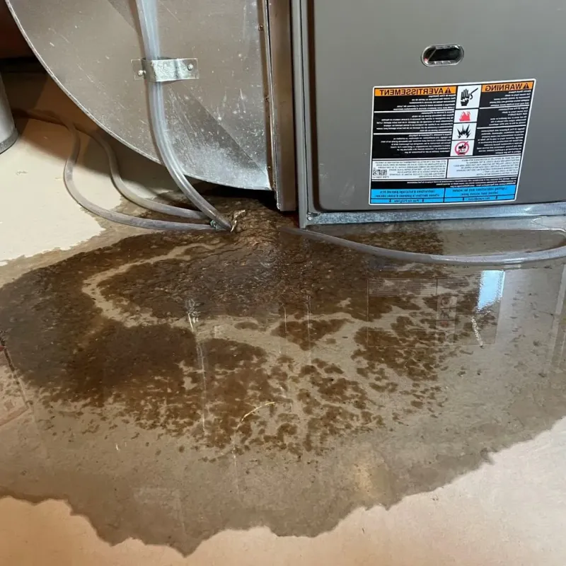 Pipe Burst and Leak Restoration in Oak Hill, OH