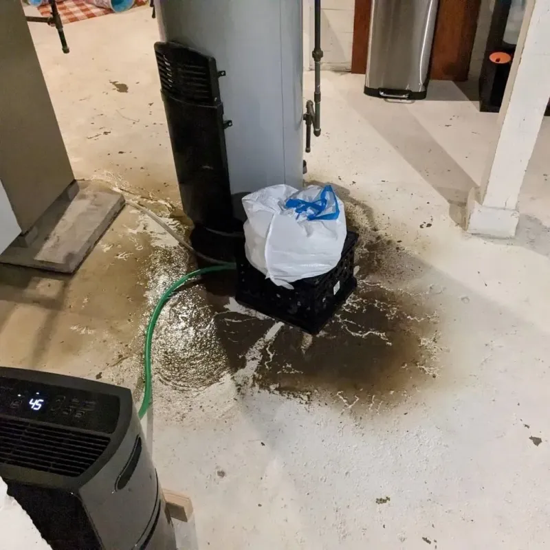Sewage Backup Cleanup Service in Oak Hill, OH